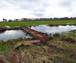 Grünland und angestauter Entwässerungsgraben mit hohem Wasserstand rechts vom Stauwerk