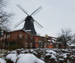 Grauer Himmel, im Hintergrund unscharf die Mühle mit derm Stationshaus, im Vordergrund Messinstrumente der Wetterstation und eine mit Schnee bedeckte Hecke