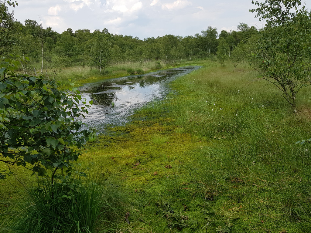 Montag, 06. April 2026 von 06:00 - 08:30 Uhr