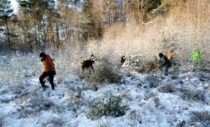 Einladung: Neue Ehrenamtsgruppe für Pflege von Naturflächen
