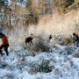 Einladung: Neue Ehrenamtsgruppe für Pflege von Naturflächen