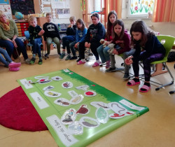 Sitzkreis von Grundschulkindern um ein selbst zusammengestelltes Schaubild, auf dem Tiere nach Anzahl ihrer Beine sortiert sind.
