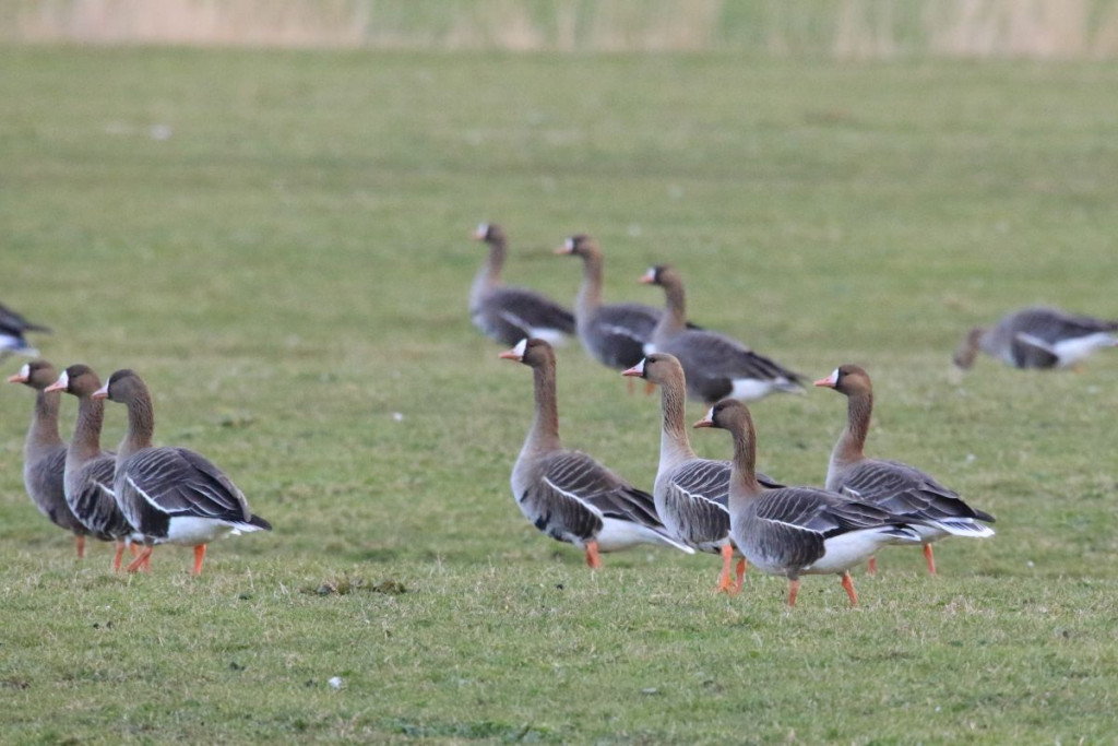 Samstag, 7.3.2026, 9.30 - 13 Uhr