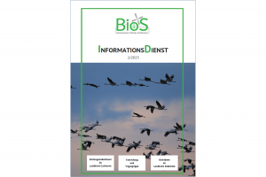 Neuer BioS-ID erschienen