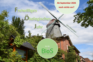 FÖJ-Bewerber:innen gesucht (2026/2027)