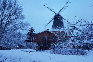 Willkommen im Winter - Wetterrückblick Januar