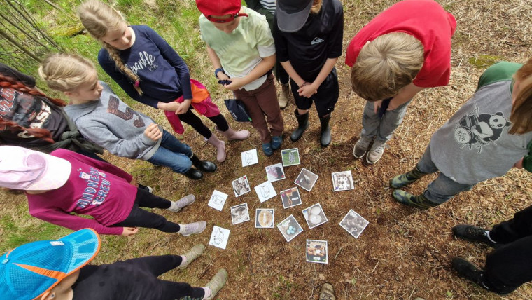 Kinder stehen im Kreis um kleine rechteckige Bilder, die auf dem Waldboden liegen. Auf den Bildern sind Pflanzen, Vogeleier und andere Lebewese des Moores zu sehen.